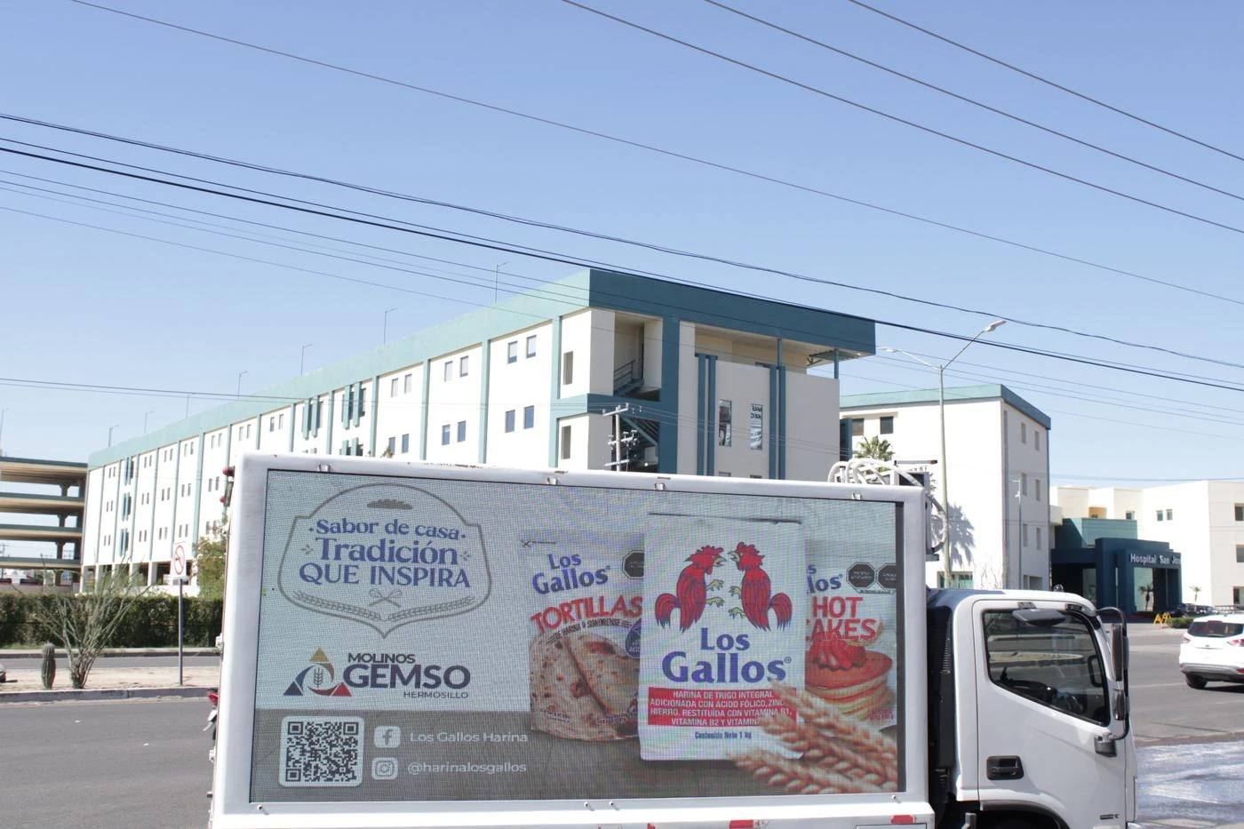 Los Gallos campaña 2